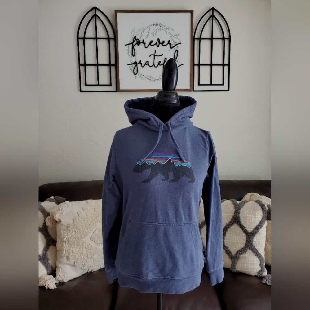 Patagonia Fitz Roy Uprisal Hoodie Outdoor Classic Hiking Size Small Retro - Picture 2 of 10